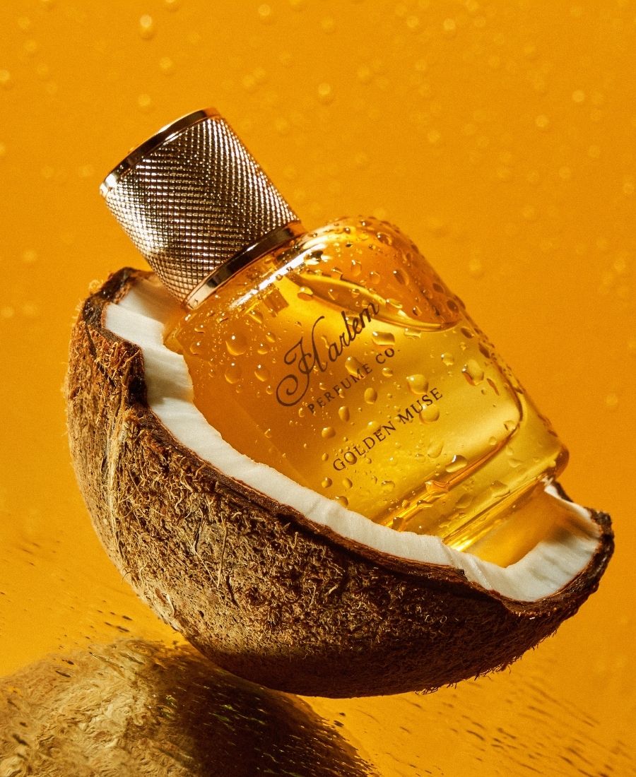 This is a lifestyle image of Golden Muse inside of a coconut.
